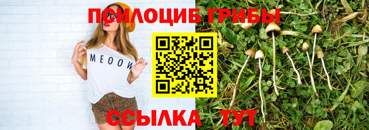 Галлюциногенные грибы Cubensis  Вход с VPN  Моршанск  Галлюциногенные грибы Psilocybine cubensis 